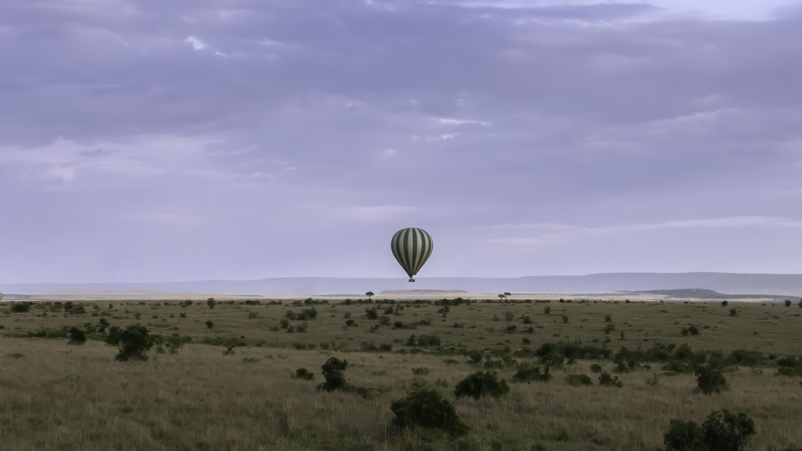 Hot Air Balloons